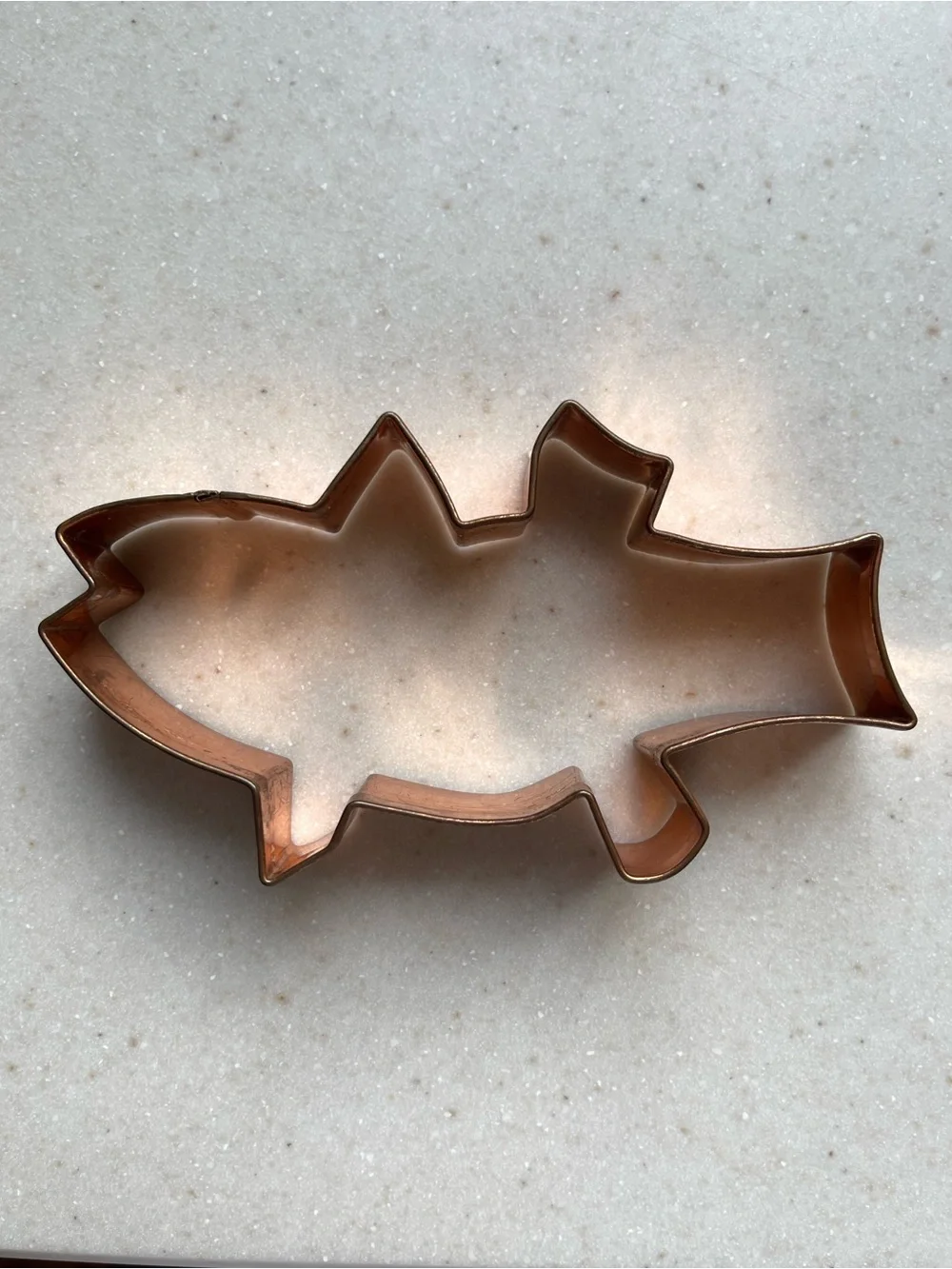 Copper cookie cutter large fish